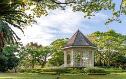 19 Nassim (D10), Apartment #448035671